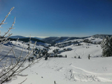 Blick vom Stübenwasen auf Todtnauberg